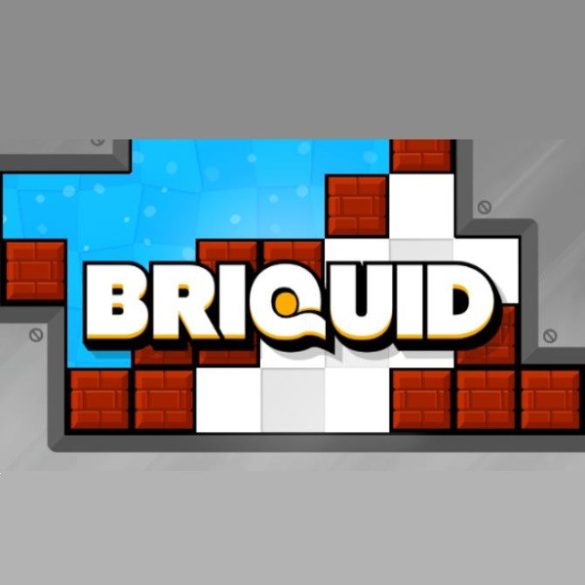 Briquid