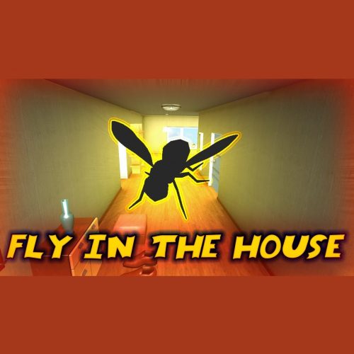 Fly in the House