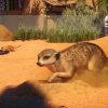 Planet Zoo: Ultimate Edition 2021